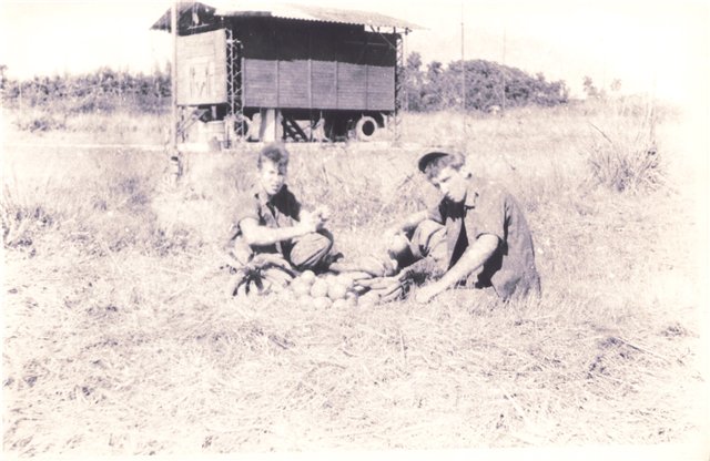 ������� ���������� ���������� ����������� 2013